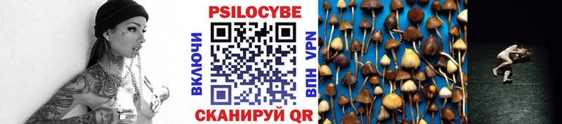 цены наркотик Кремёнки Галлюциногенные грибы Cubensis